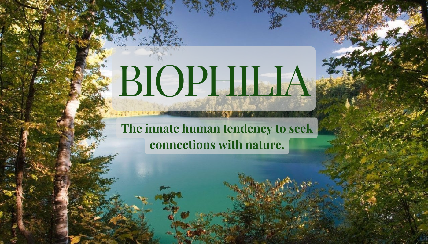 The Science Behind Biophilia