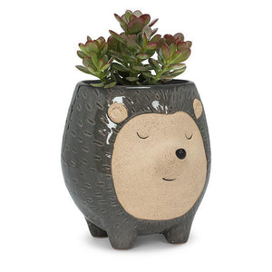 Tall Hedgehog Planter 3"