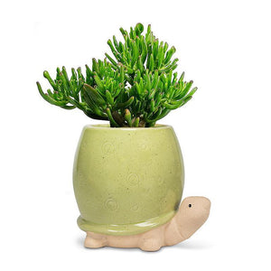 Tall Turtle Pot 3"