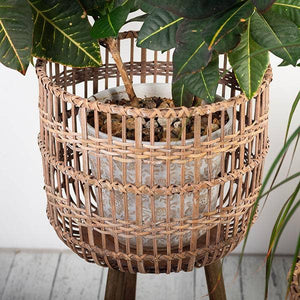 Brown Bamboo Planter Stand