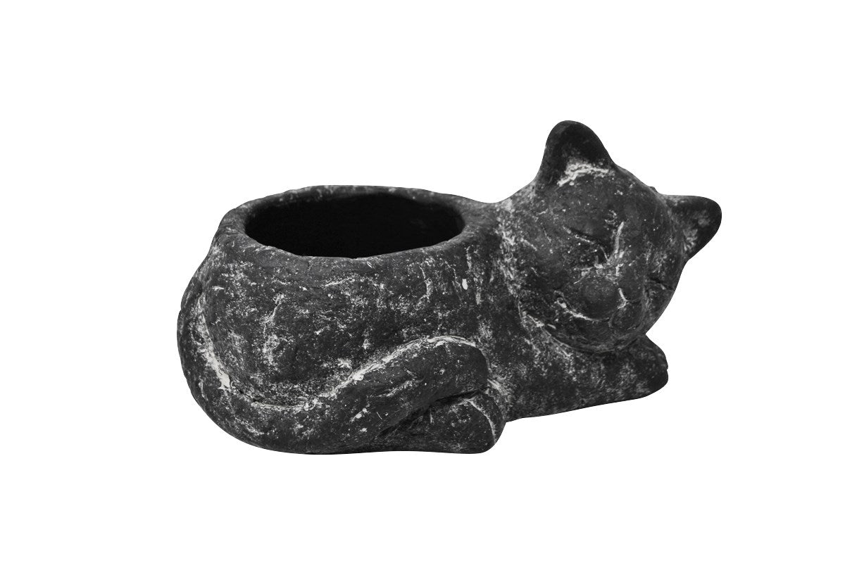 This black cement pot is sculpted in the shape of a sleeping cat. The pot measures 4" in diameter and would be suitable for a plant in a 3-3.5"  grow/nursery pot. 